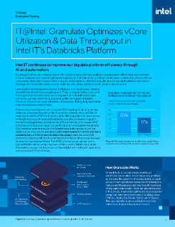 Granulate Optimizes Intel IT Databricks Platform